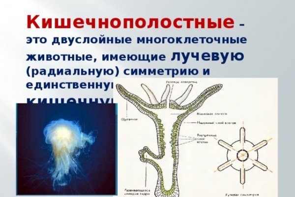 Блекспрут онион blacksprut pl blacksprut2web in