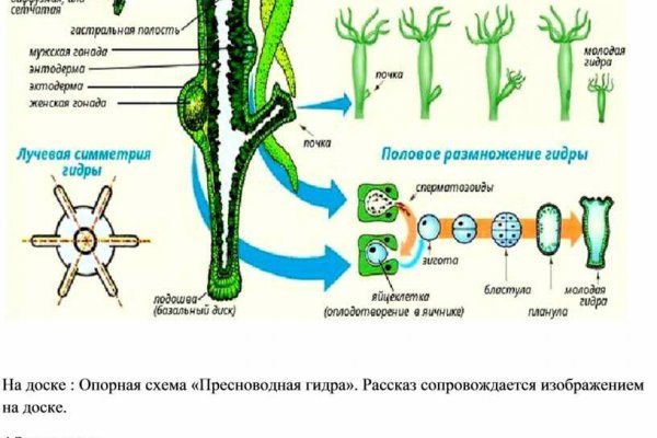 Блэкспрут ссылка тор blacksprut wiki